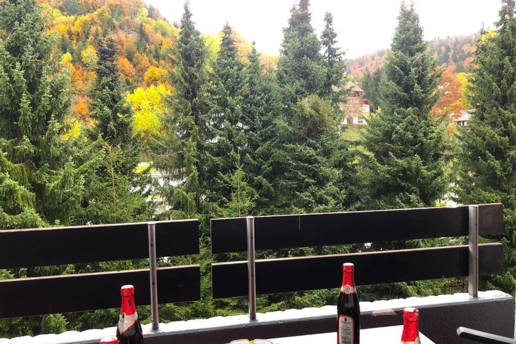 Ferienwohnung Schwarzwald Todtmoos Eksteriør billede