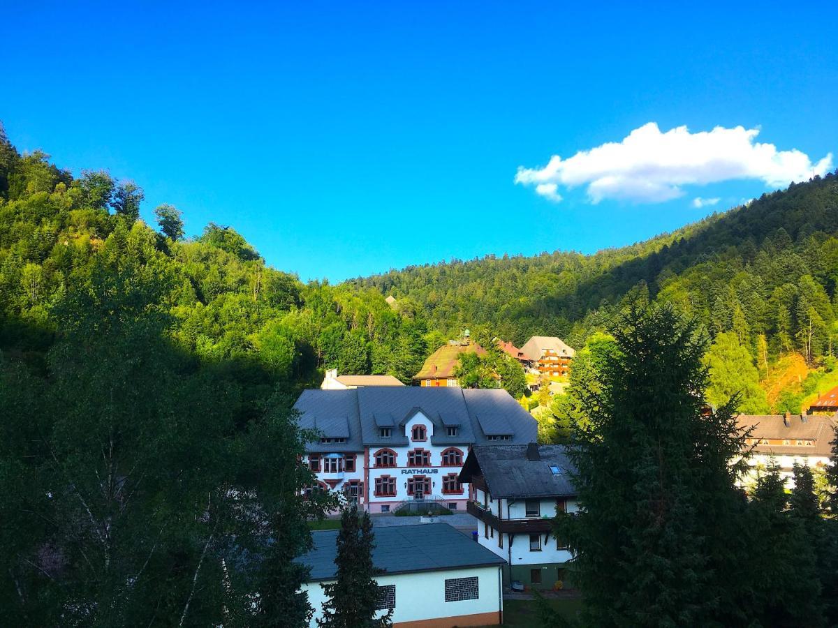 Ferienwohnung Schwarzwald Todtmoos Eksteriør billede