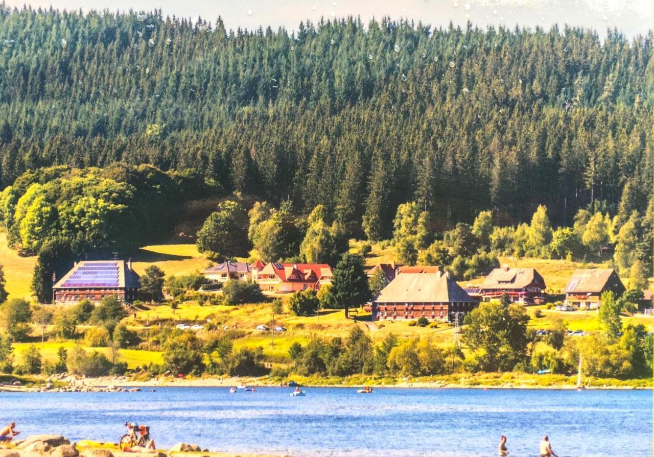Ferienwohnung Schwarzwald Todtmoos Eksteriør billede