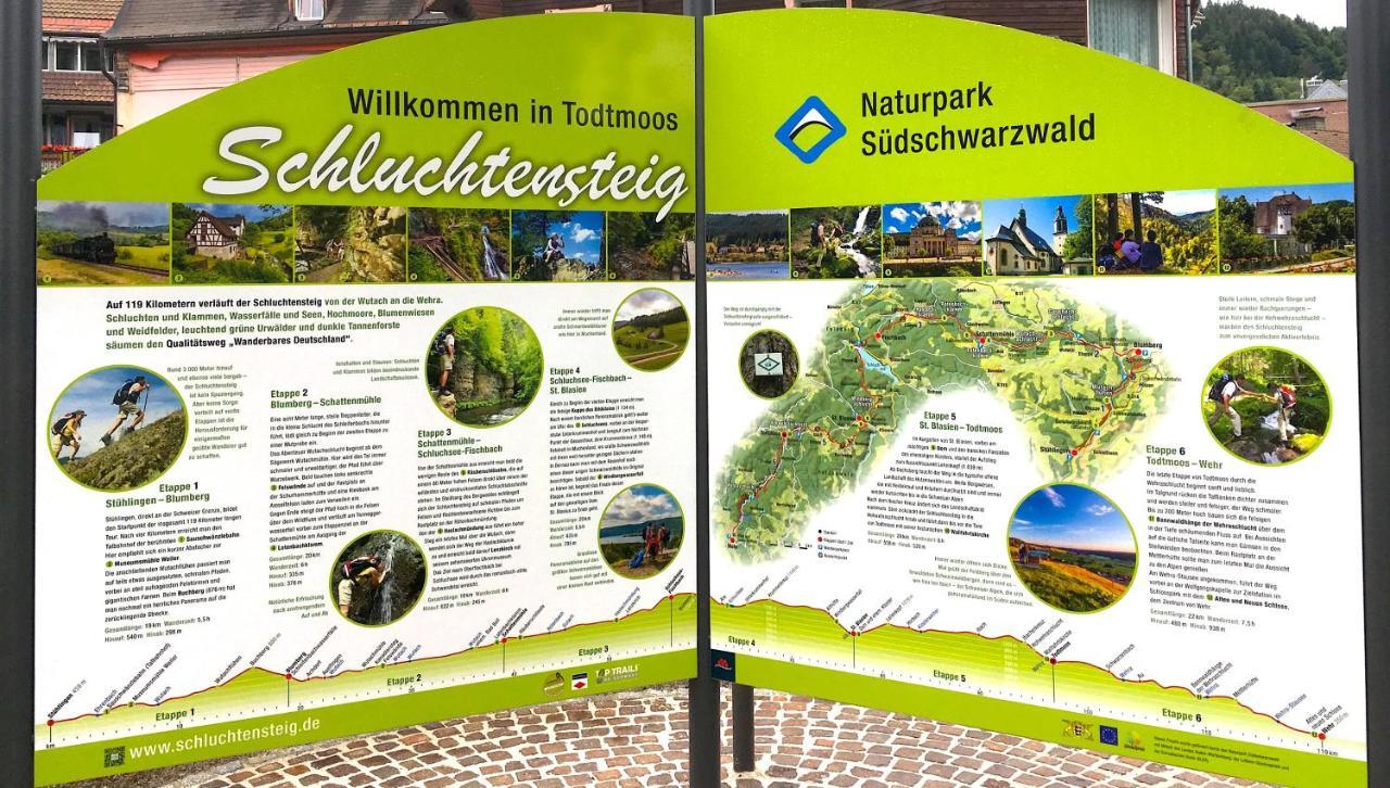 Ferienwohnung Schwarzwald Todtmoos Eksteriør billede
