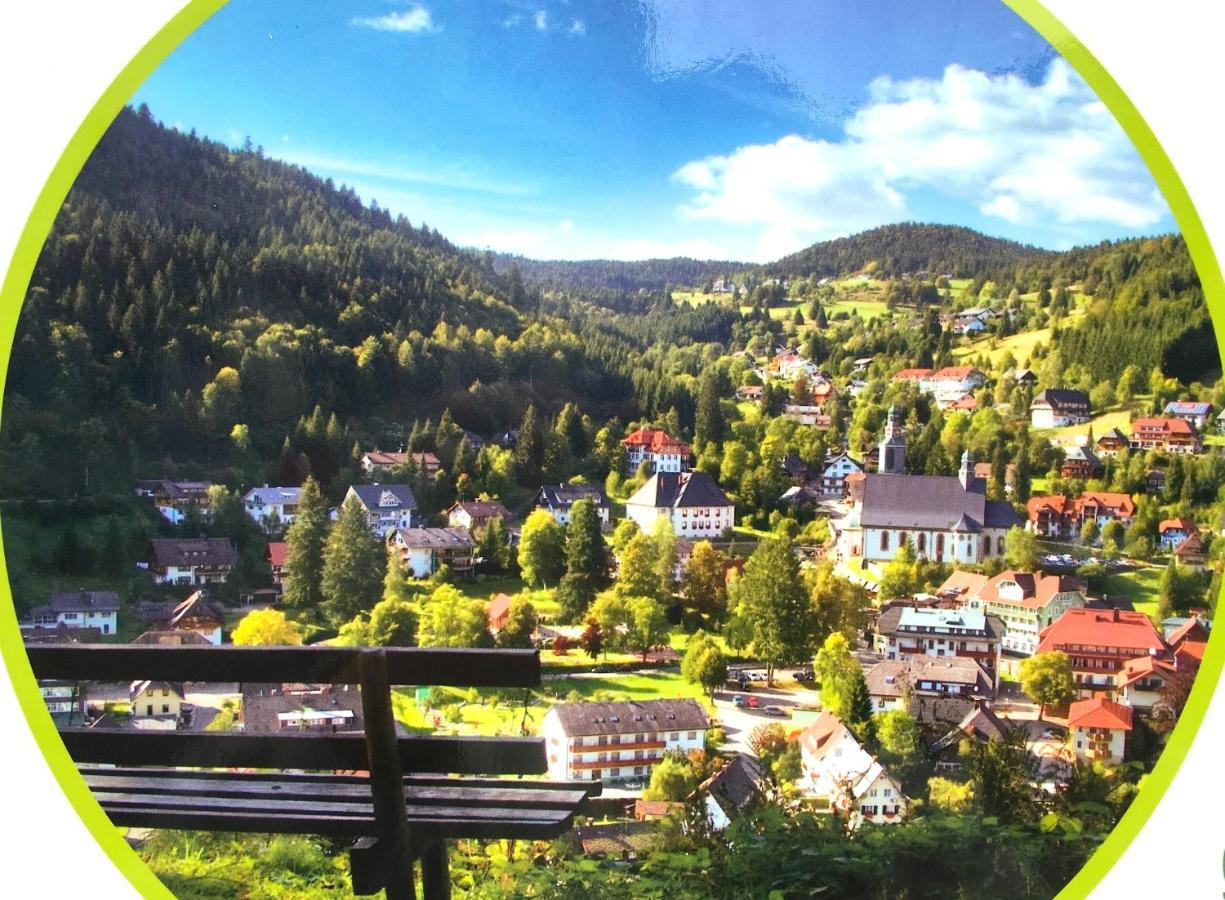Ferienwohnung Schwarzwald Todtmoos Eksteriør billede